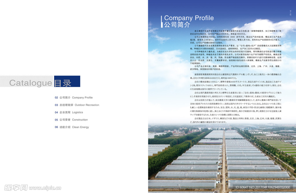 紫苏宣传画册 单页