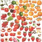 各种单个水果PSD分层文件