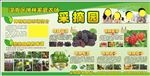 农场采摘园广告牌