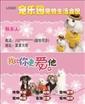 宠物店名片