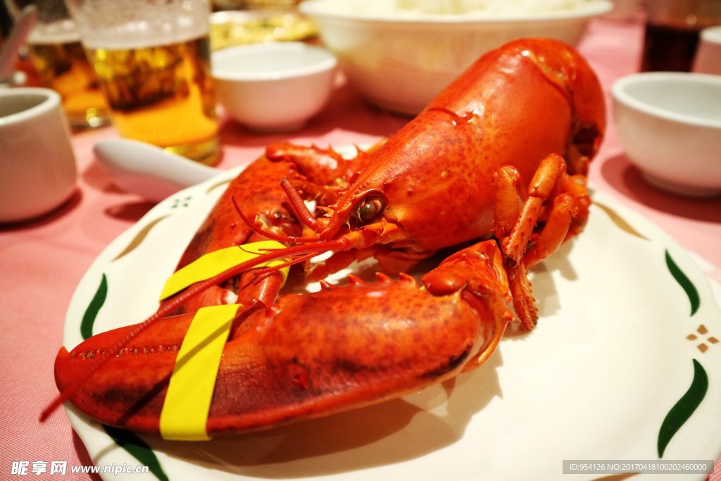 波士顿大龙虾
