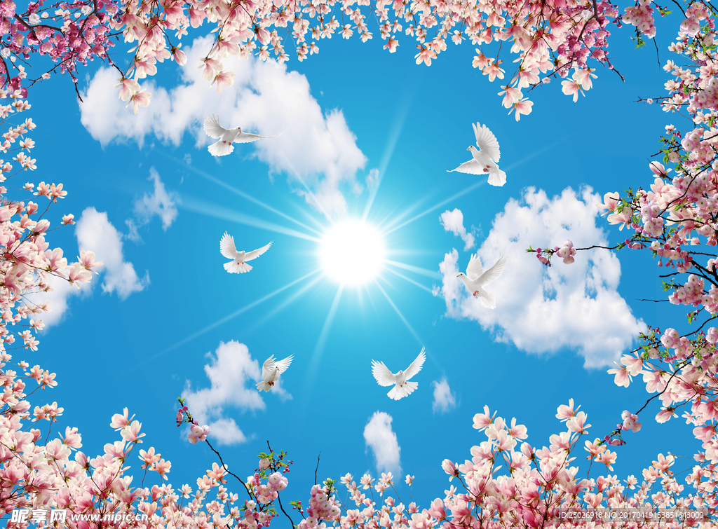 蓝天白云鸽子桃花