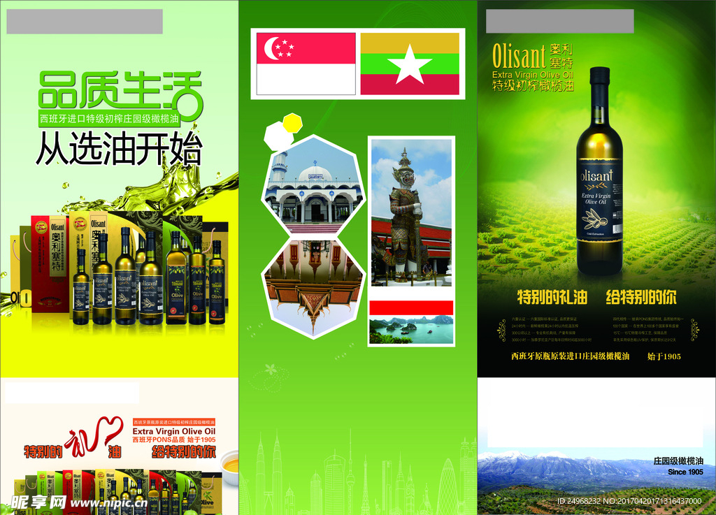 奥丽赛特橄榄油