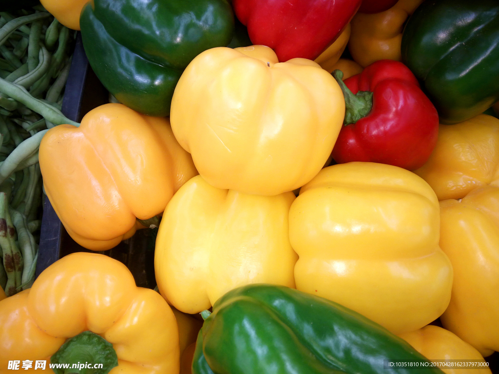 彩色辣椒 绿色蔬菜