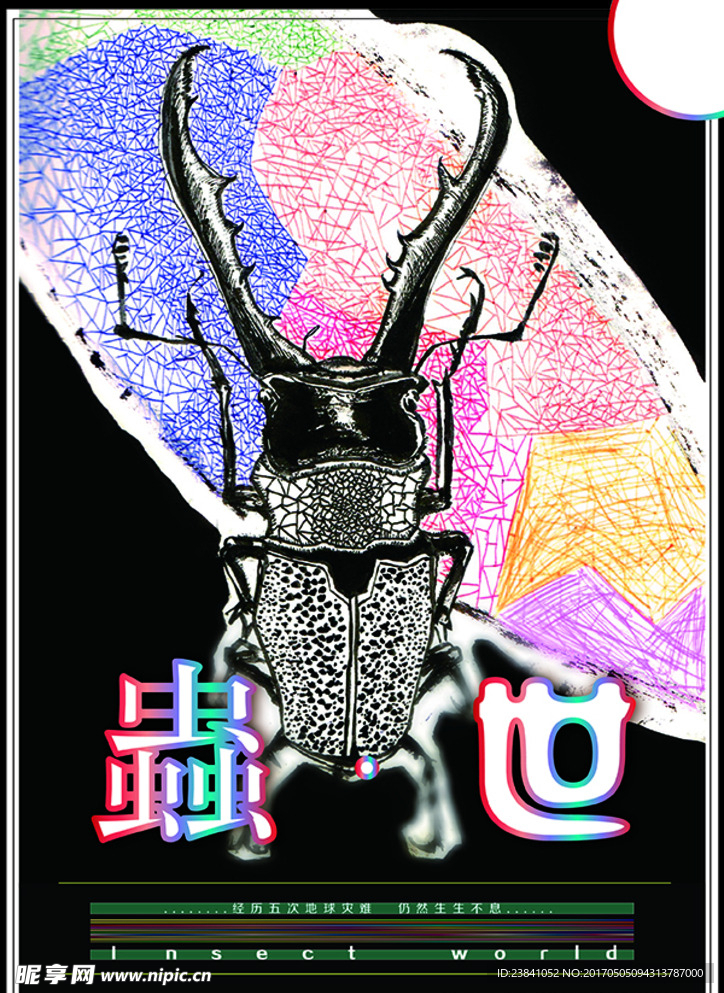 昆虫海报