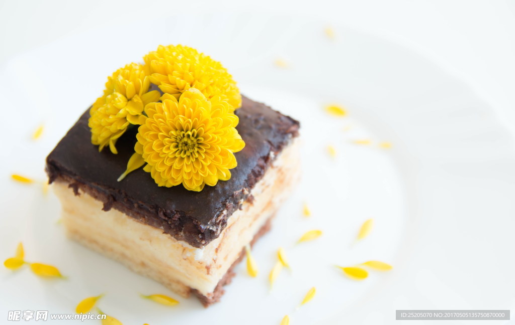 提拉米苏蛋糕块