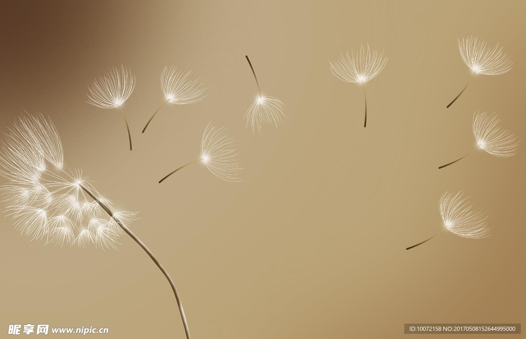 手绘蒲公英背景