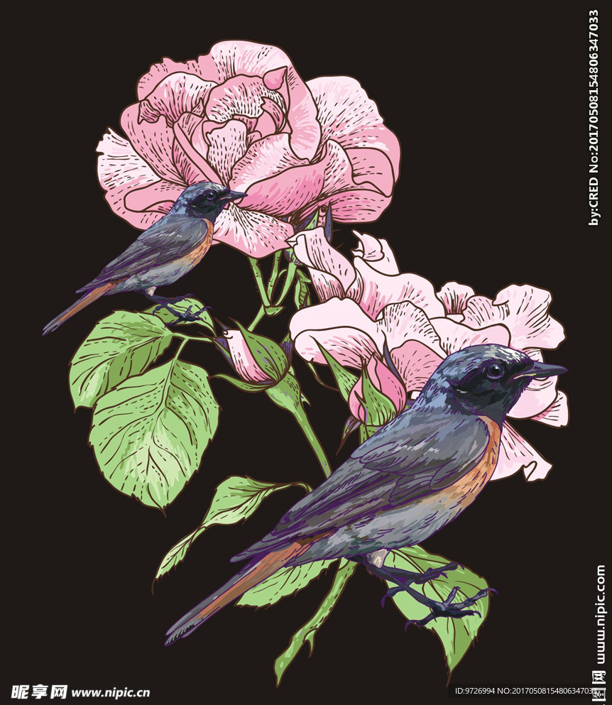 植物花卉花鸟矢量图下载