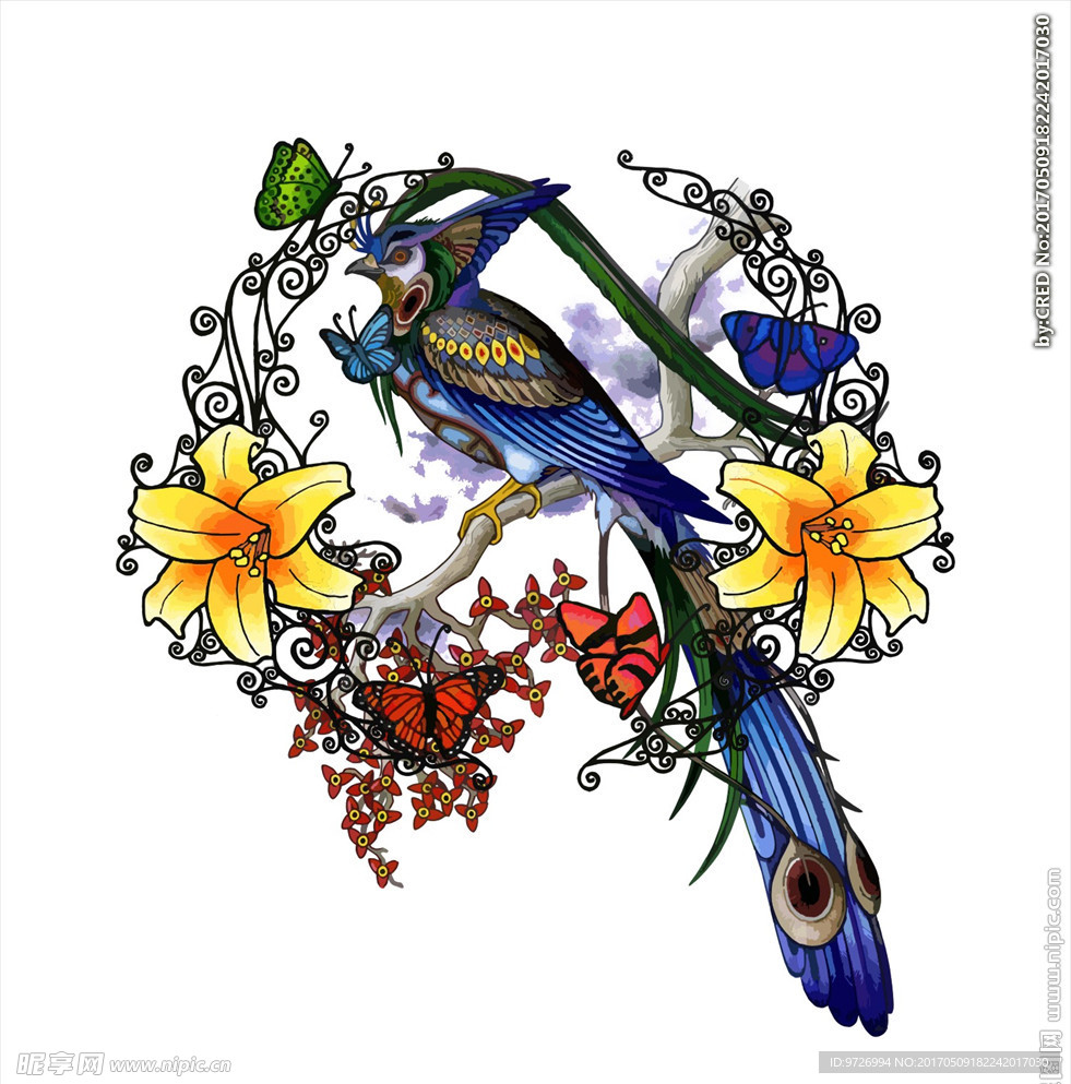 植物花卉花鸟矢量图下载