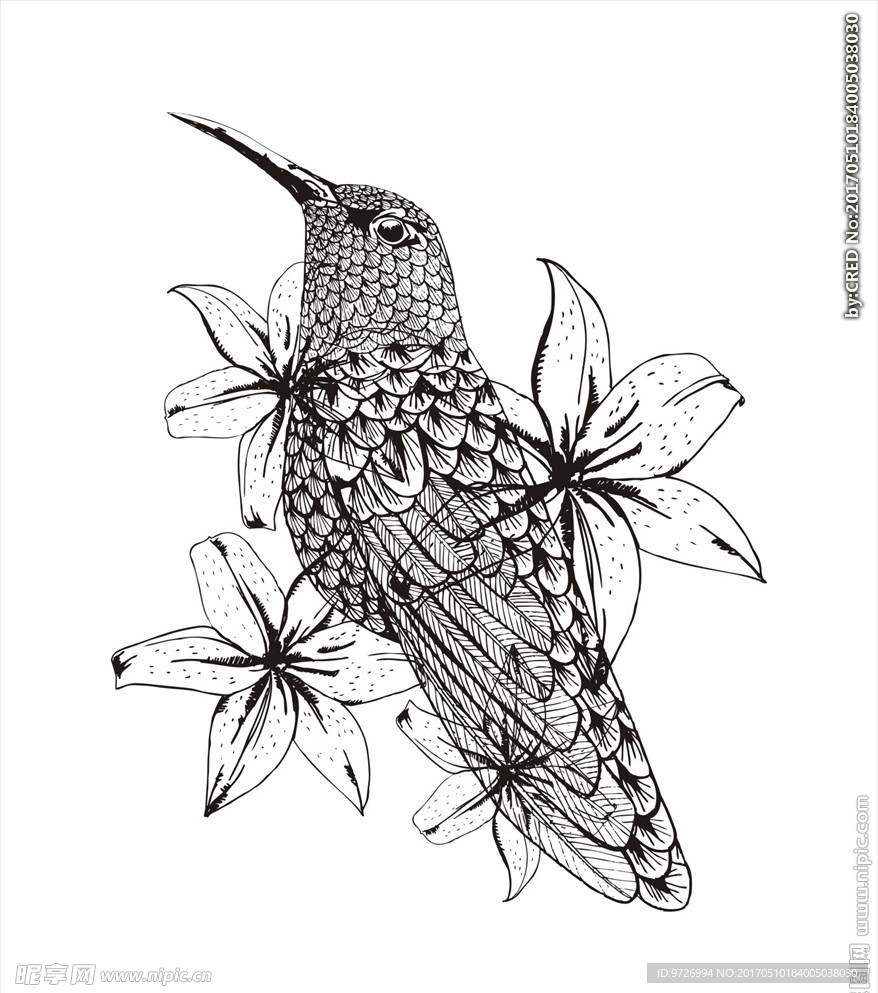 线描花朵花卉小鸟矢量图下载