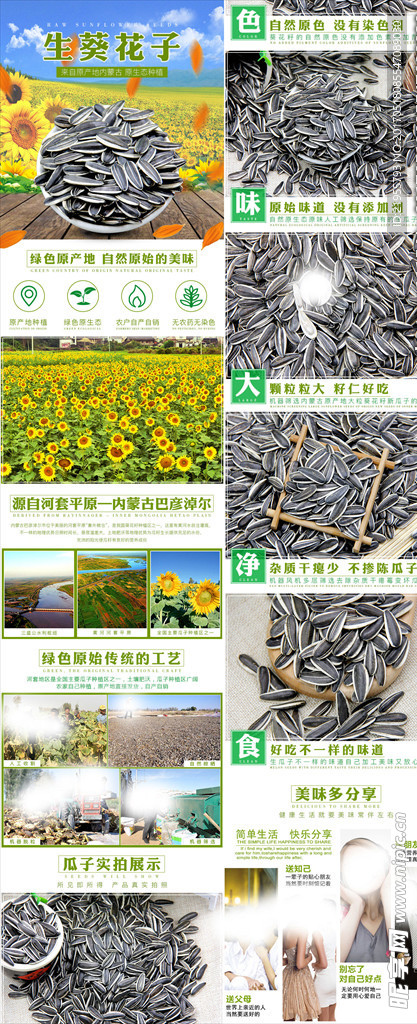 生瓜子葵花籽内蒙古特产