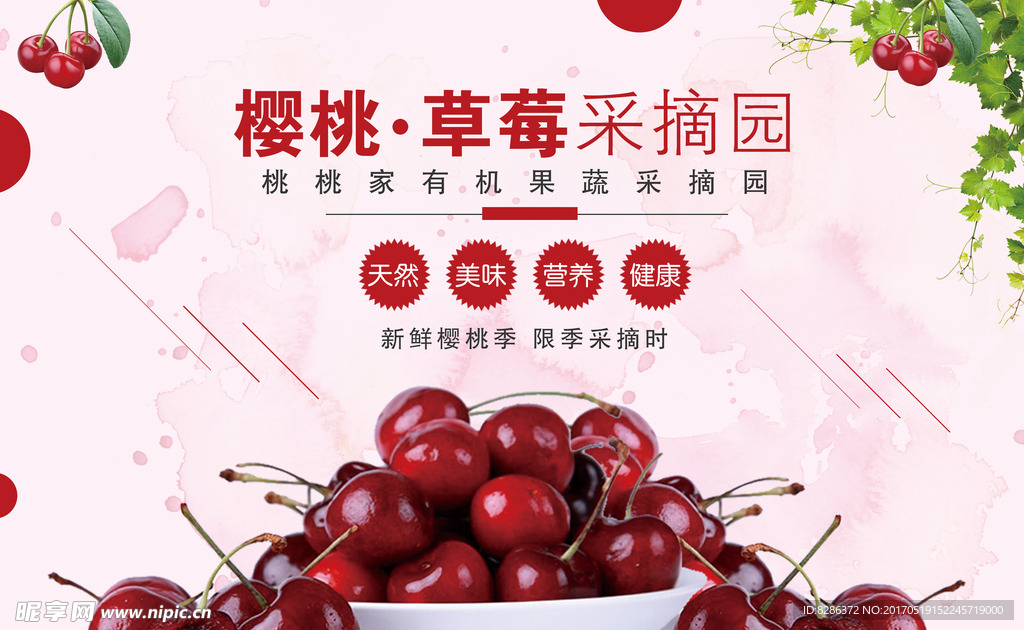 樱桃采摘海报