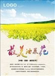 油菜花海报