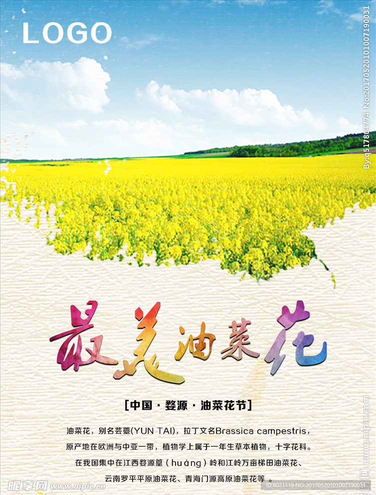 油菜花海报