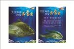 黄唇鱼海报