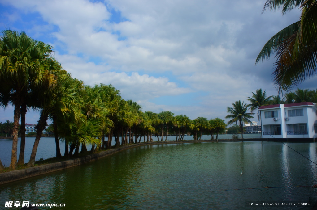 南丽湖风景区摄影图