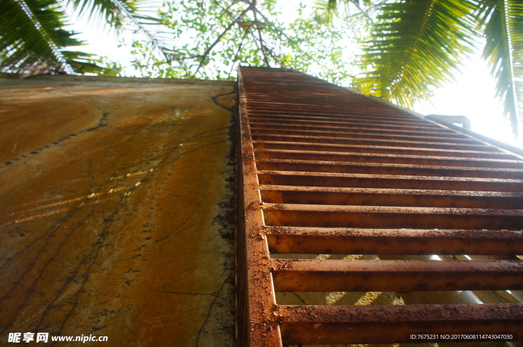 南丽湖风景区摄影图