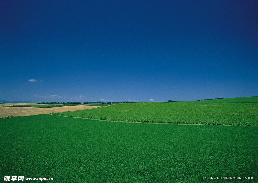 一望无际的草原美景