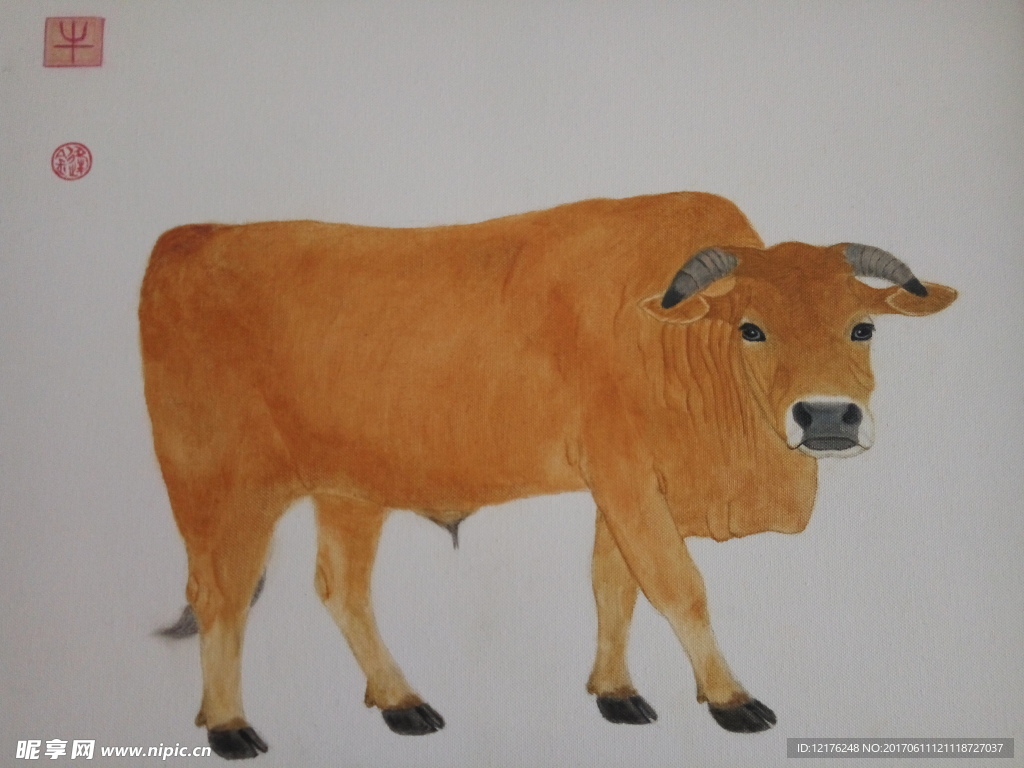 油画   黄牛 中国画