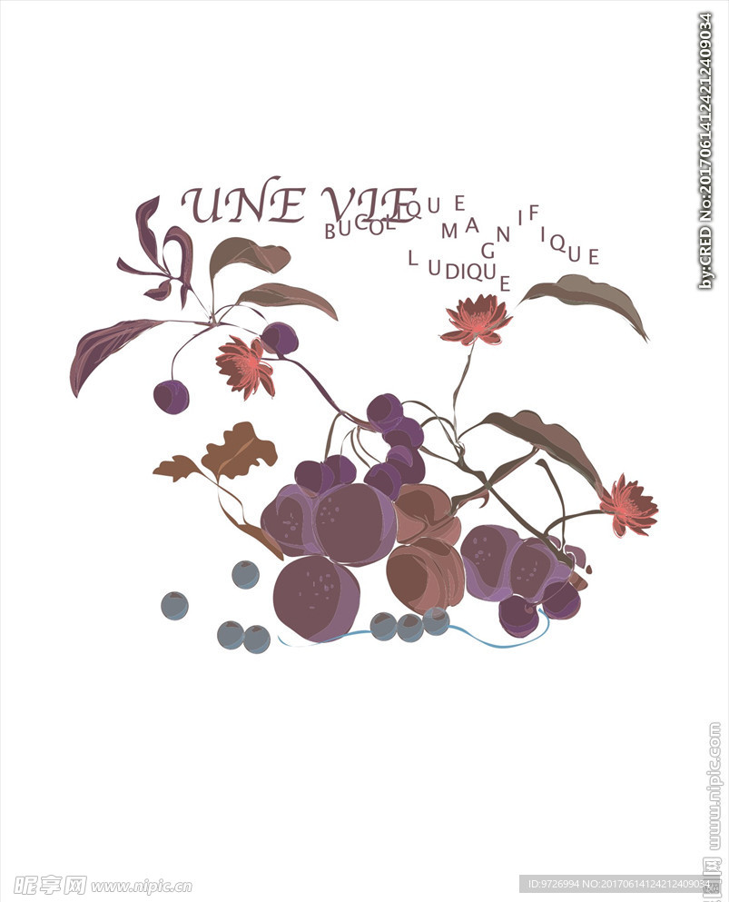 花朵花卉樱桃矢量图下载