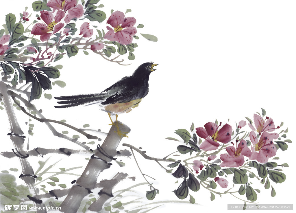 鸟 紫色 小鸟在树上 花开富贵