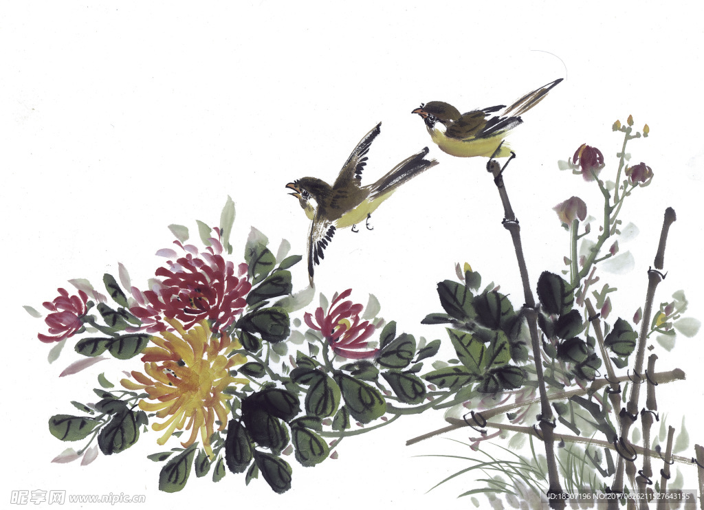 鸟 菊花上的小鸟