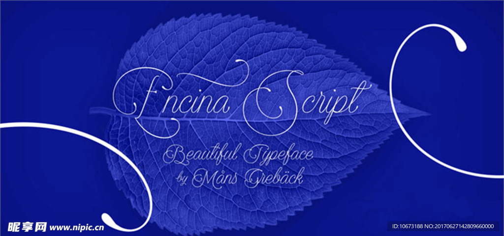 优雅的手写英文字体