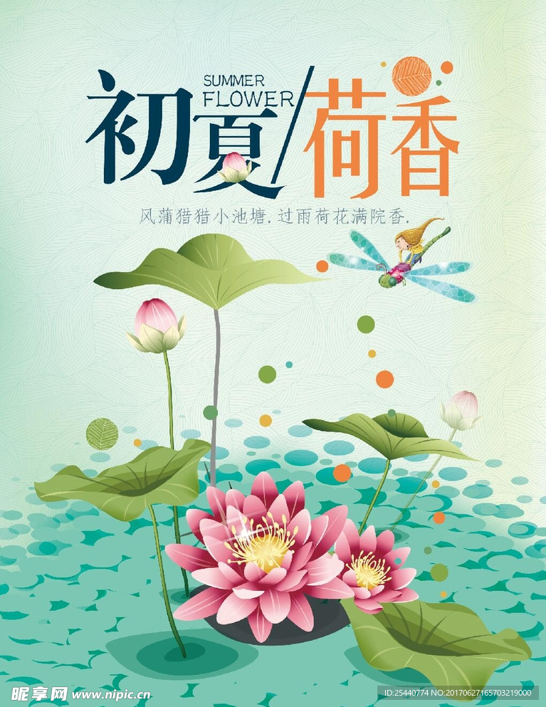 初夏荷香海报