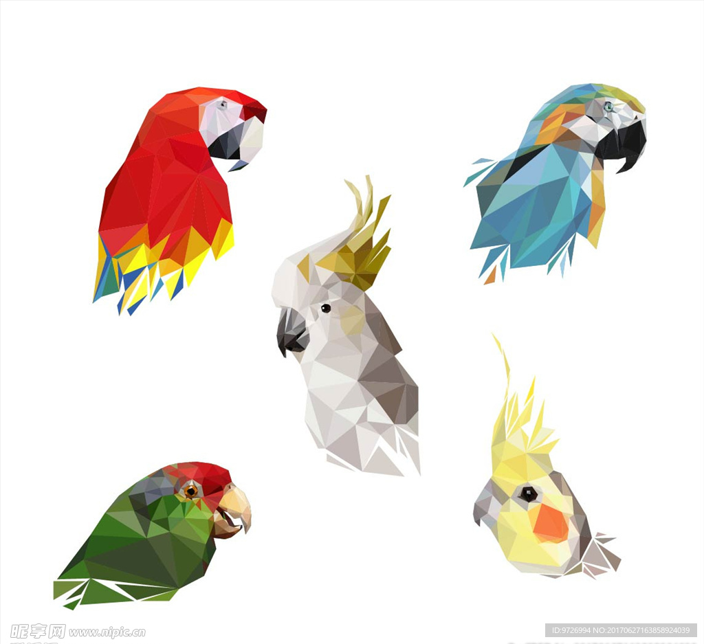 手绘鹦鹉鸟类拼图矢量图下载