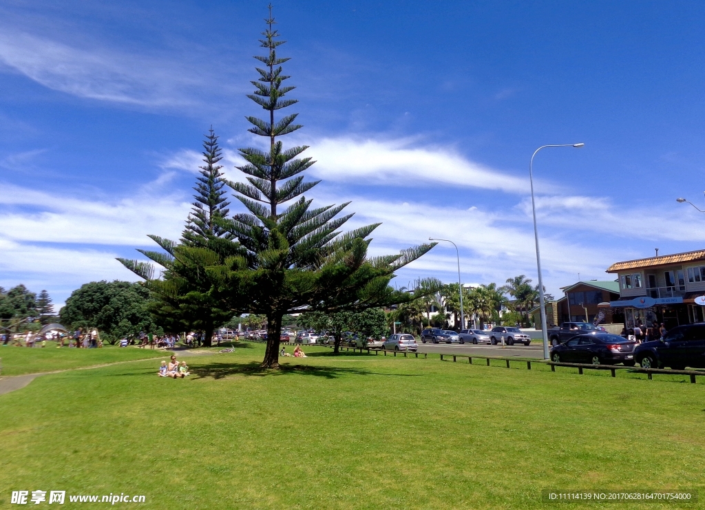 新西兰海滨公园风景