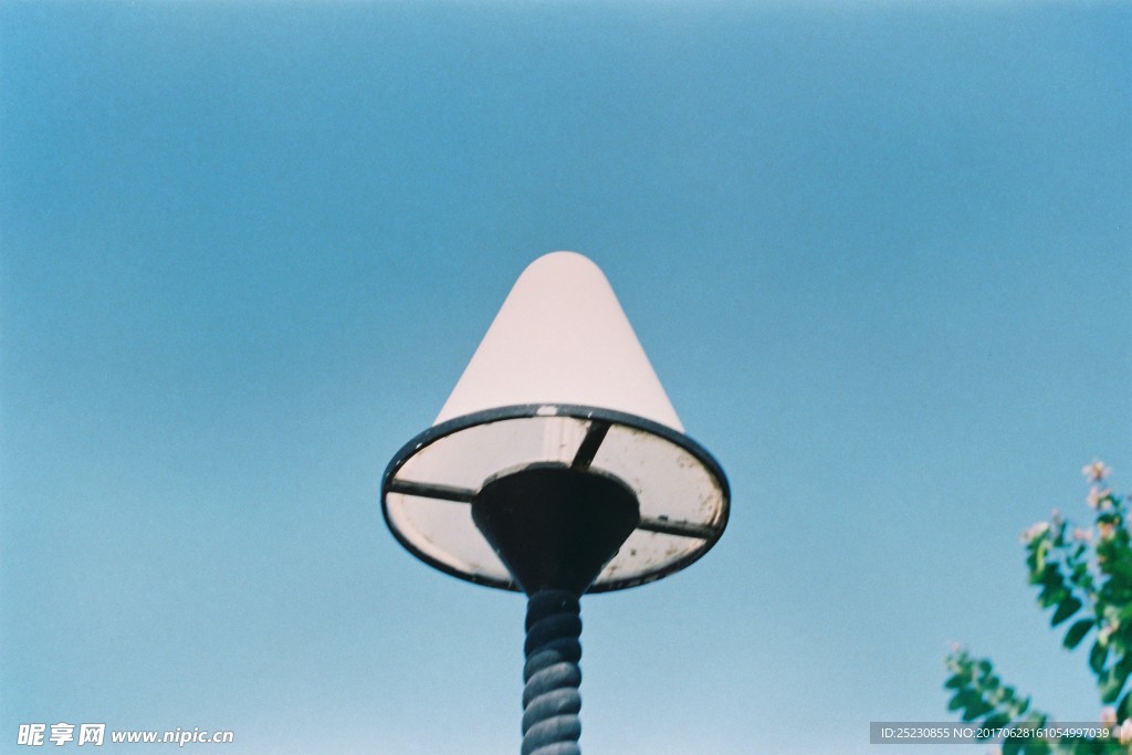 厦门冬季公园街灯 胶卷