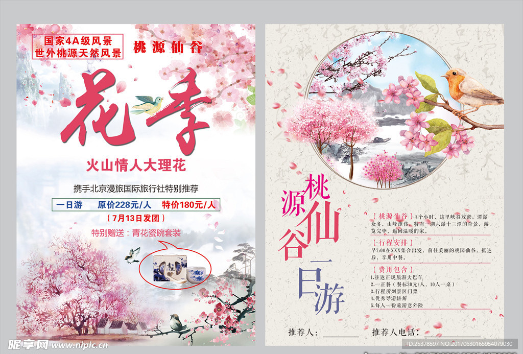 桃花节彩页