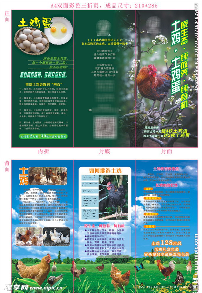 土鸡宣传单(可编辑)