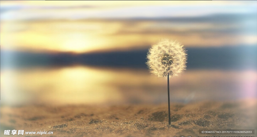 图片快速切换照片展示模板