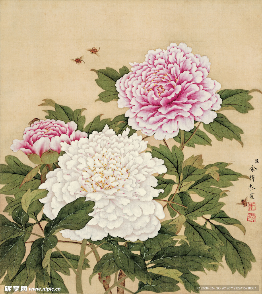 工笔花鸟 国画 清代 余稚