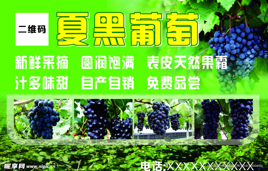 夏黑葡萄广告