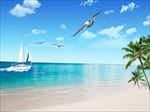 沙滩海景帆船背景墙