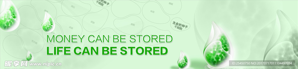 生物技术宽屏benner模板