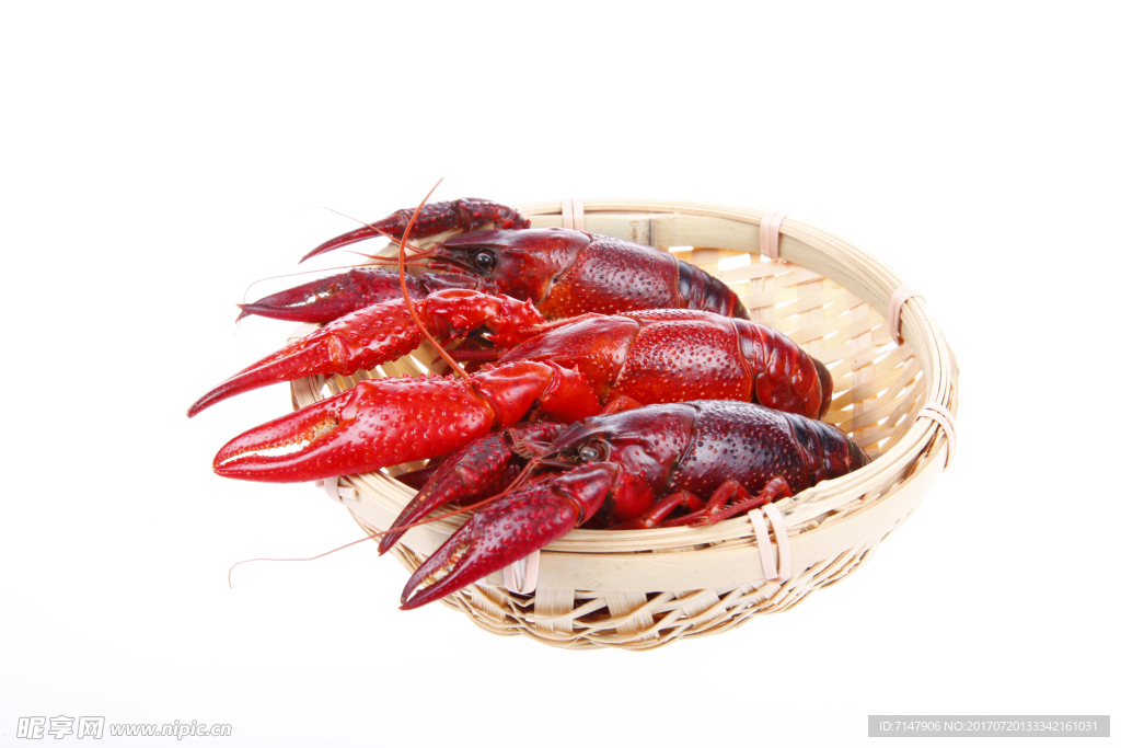 小龙虾高清素材图