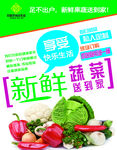 蔬菜海报