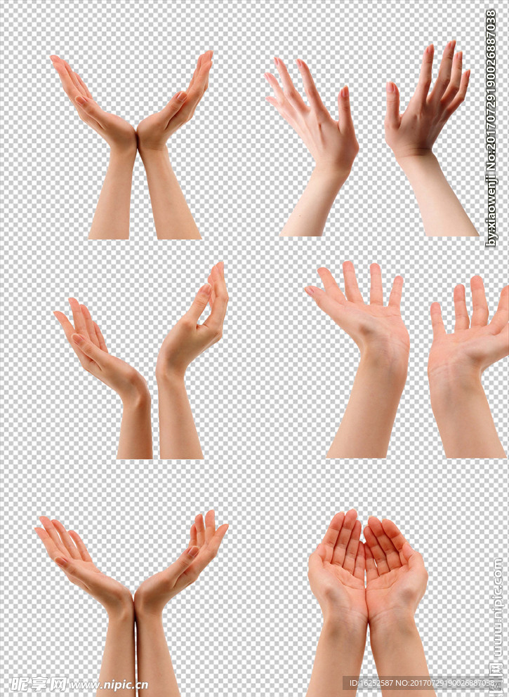 手素材免抠图