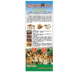 茶树菇宣传介绍展架