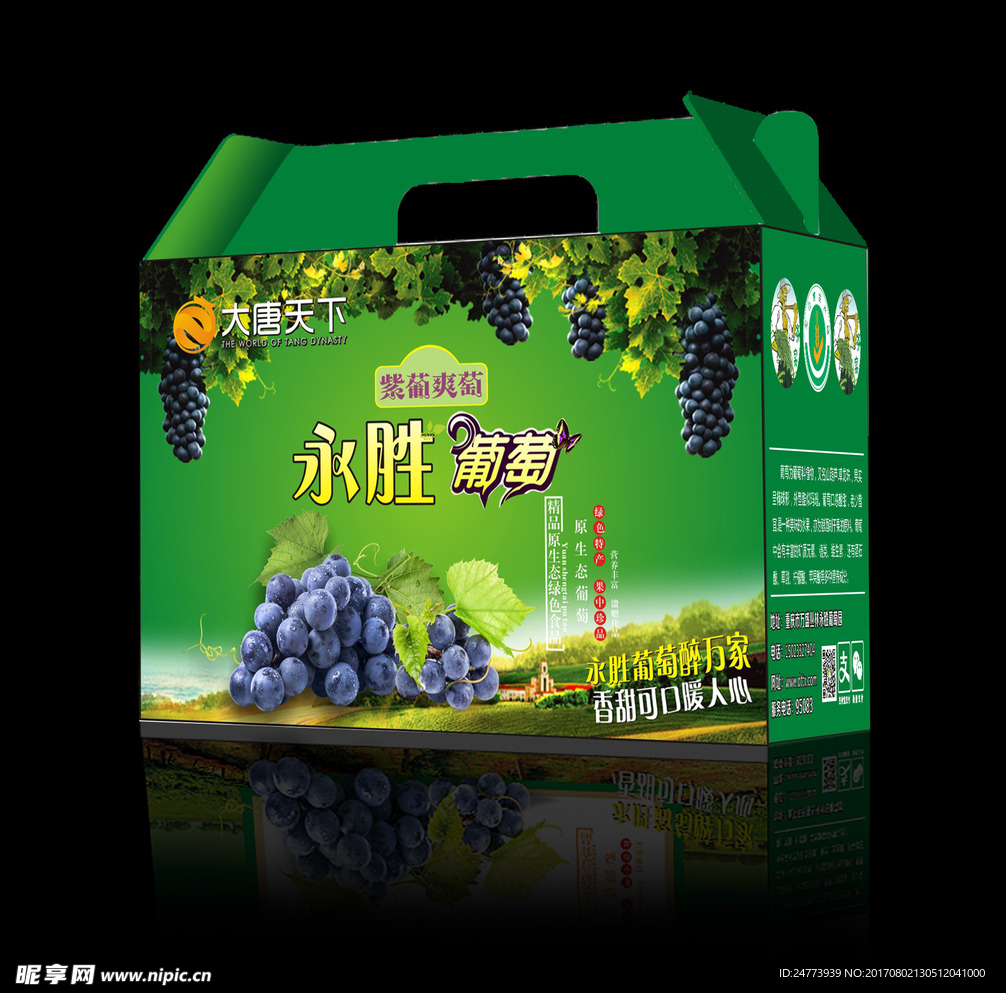 葡萄盒平面设计图