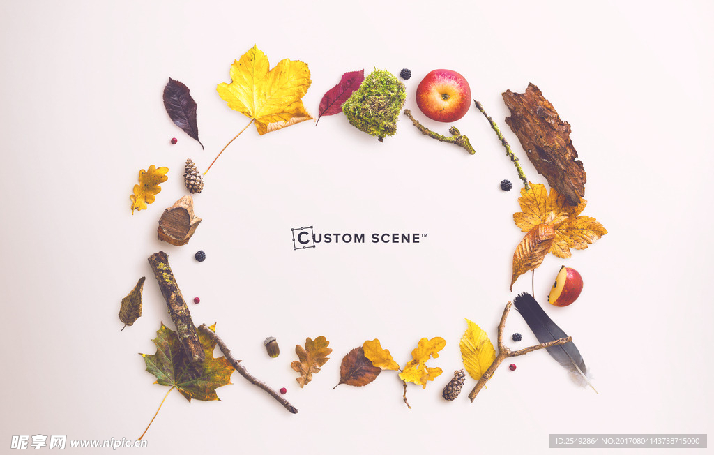 秋天  树叶 果实  素材