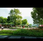 景观公园效果图素材