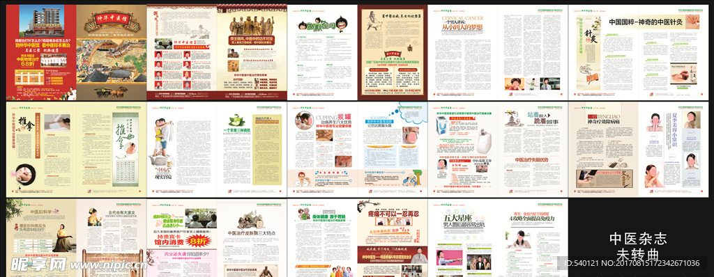 中医杂志  妇科 男科