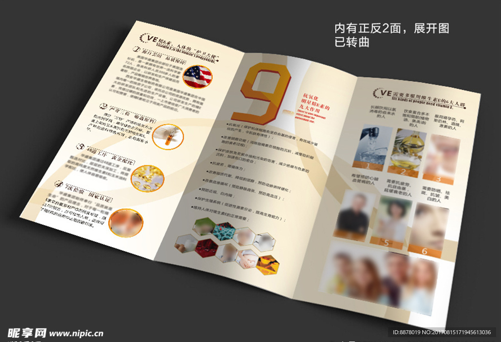 维E产品宣传 折页 内页