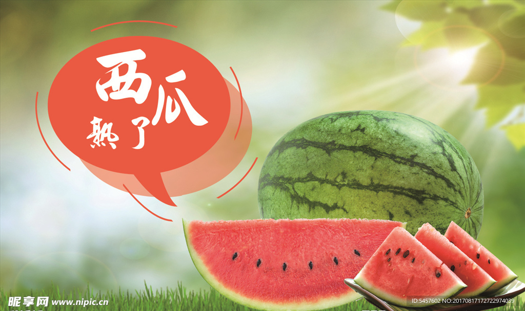 西瓜贺卡明信片