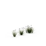 唯美浪漫花草插图