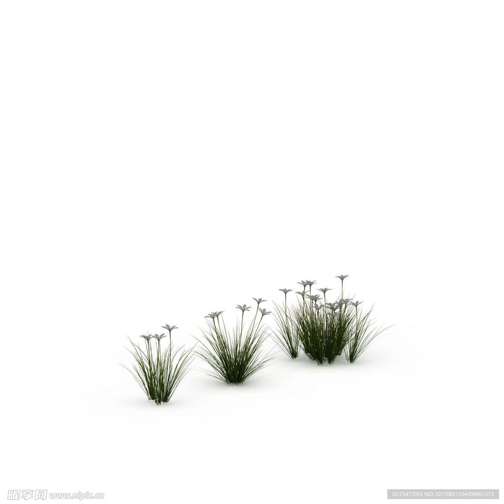 唯美浪漫花草插图